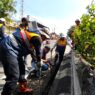 Simpang Unsoed Rawan Genangan