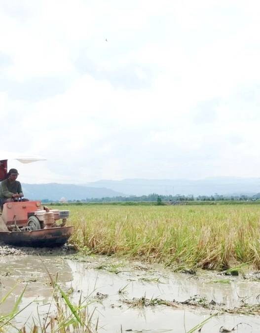 Traktor Perahu Diserbu Warganet