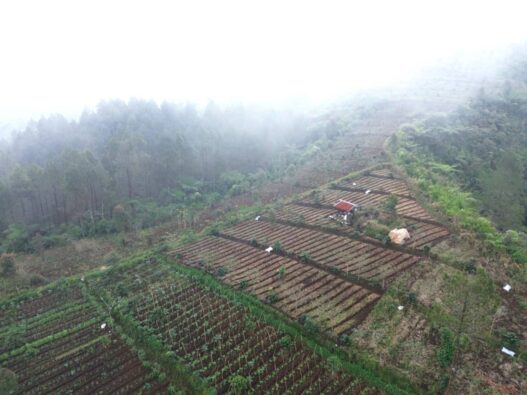 183 Warga Hentikan Garapan Ilegal