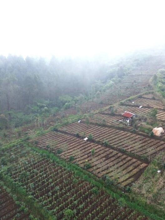 183 Warga Hentikan Garapan Ilegal
