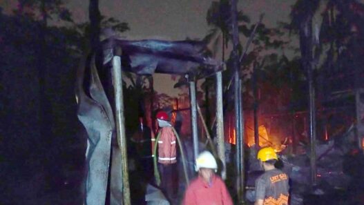 5.000 Ayam Mati Terbakar