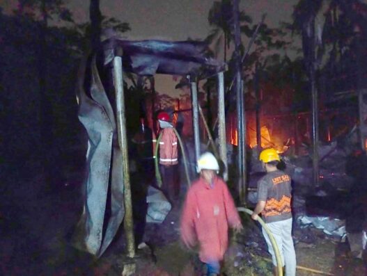 5.000 Ayam Mati Terbakar