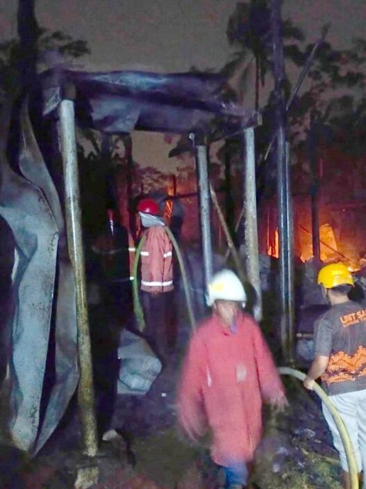 5.000 Ayam Mati Terbakar