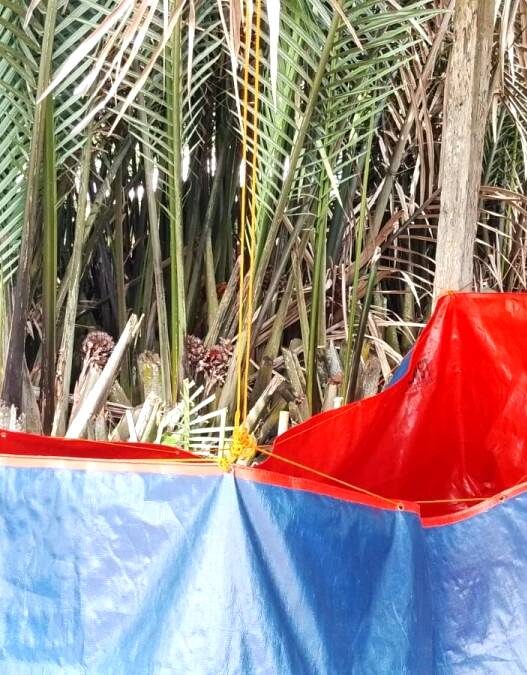 Air Bersih Seret di Nusapule