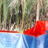 Air Bersih Seret di Nusapule