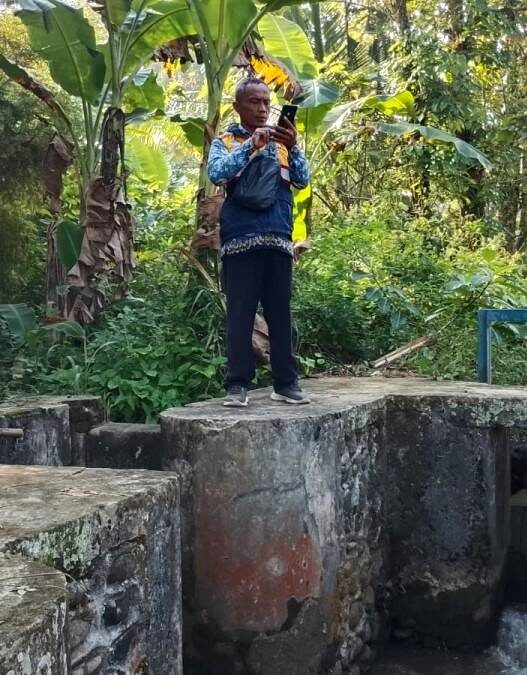 Air Menyusut, Sawah Diatur Bergiliran