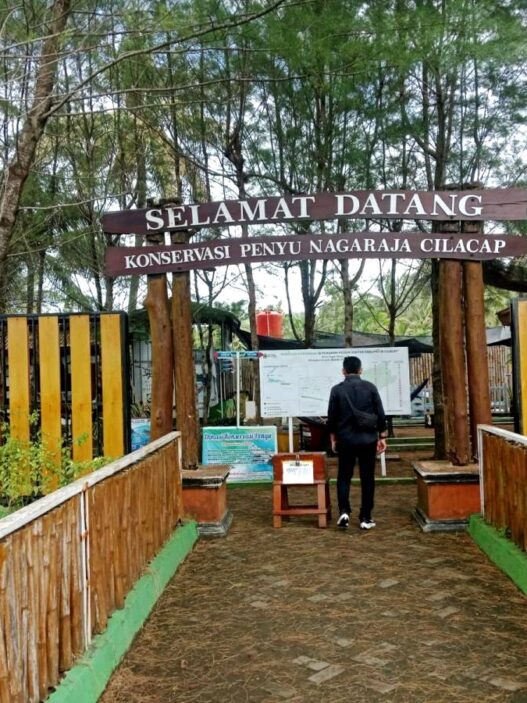 April Mei, Ditemukan 10 Sarang Penyu