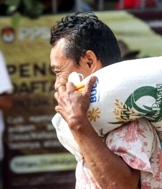 Bantuan Beras 10 Kg Mulai Juli