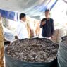 Berkat Sampah Masuk Nominasi Kalpataru