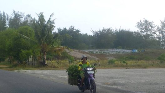 BRIN: Jangan Ubah Bentang Alam Gumuk Pasir