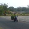 BRIN: Jangan Ubah Bentang Alam Gumuk Pasir