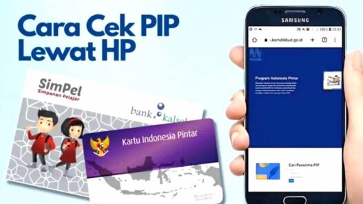 Cek PIP