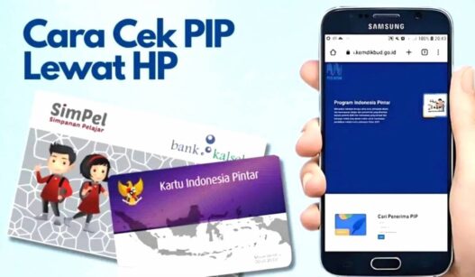 Cek PIP
