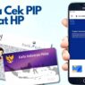 Cek PIP