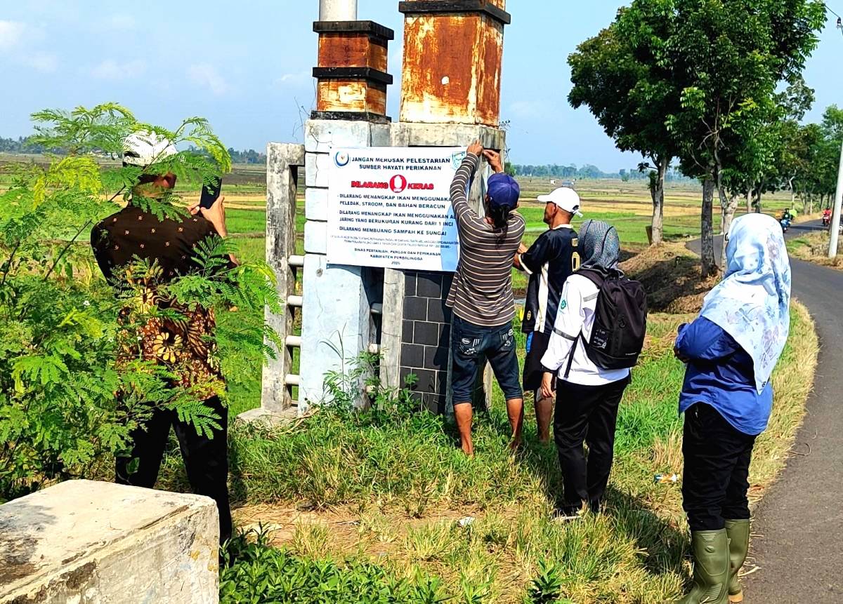 DPPP Larang Tangkap Ikan Pakai Setrum