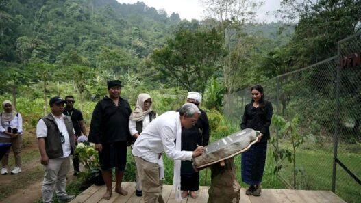 Dua Elang Jawa Dilepasliarkan