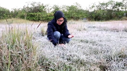 Embun Upas Membeku, Dieng Kembali Diburu