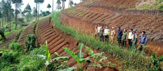 Enam Penggarap Lahan Ilegal Tinggalkan Hutan Negara