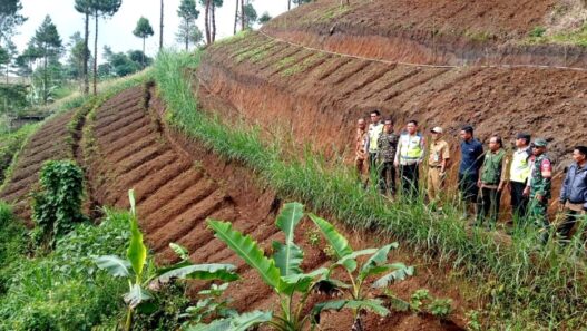 Enam Penggarap Lahan Ilegal Tinggalkan Hutan Negara