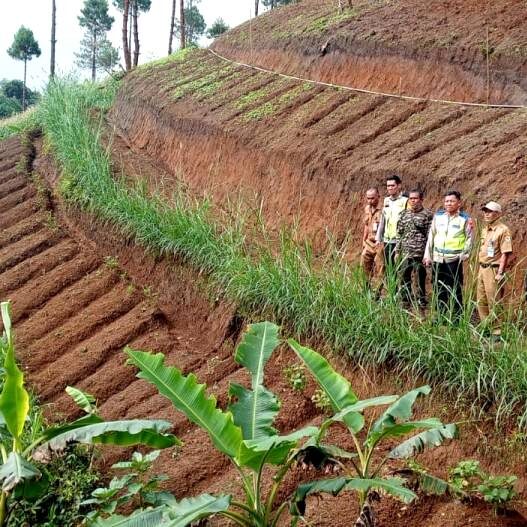 Enam Penggarap Lahan Ilegal Tinggalkan Hutan Negara