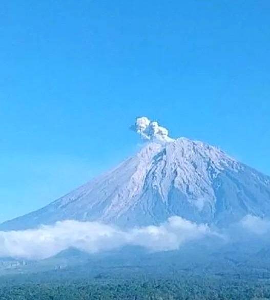 Gunung Semeru Erupsi Tujuh Kali