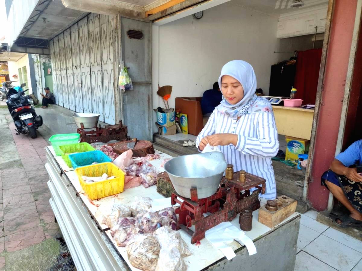 Harga Daging Ayam Anjlok