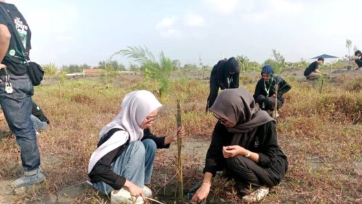 Hari Lingkungan Hidup, Ribuan Pohon Ditanam di Pesisir