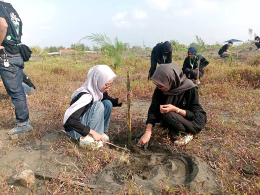 Hari Lingkungan Hidup, Ribuan Pohon Ditanam di Pesisir