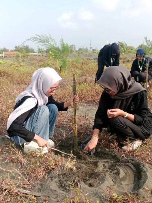 Hari Lingkungan Hidup, Ribuan Pohon Ditanam di Pesisir