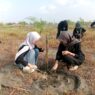 Hari Lingkungan Hidup, Ribuan Pohon Ditanam di Pesisir