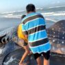 Hiu Tutul Terdampar di Pantai Bunton