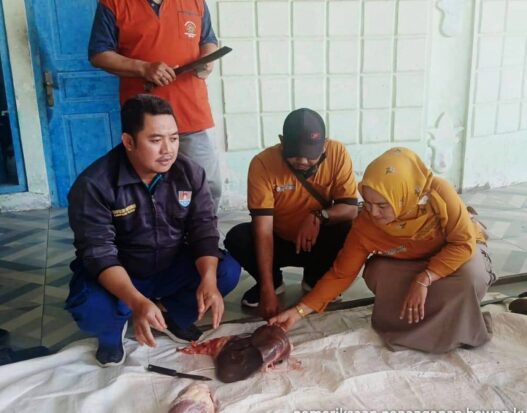 Iduladha, 25 Ribu Lebih Hewan Kurban Disembelih