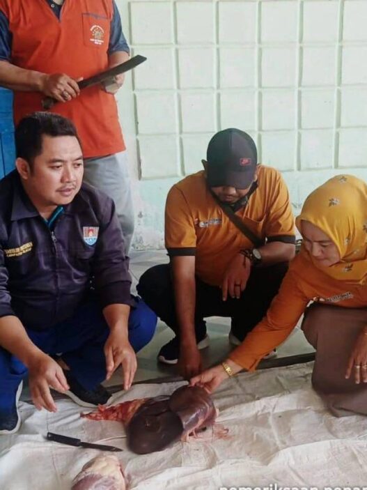 Iduladha, 25 Ribu Lebih Hewan Kurban Disembelih