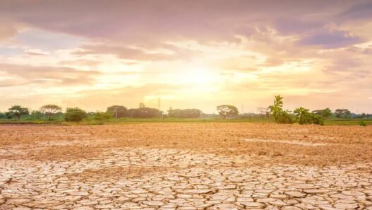 Indonesia Alami El Nino