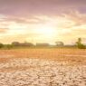 Indonesia Alami El Nino