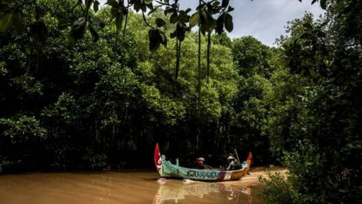 Indonesia Ubah Strategi Konservasi