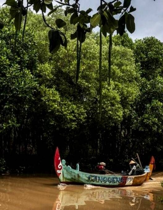 Indonesia Ubah Strategi Konservasi