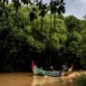 Indonesia Ubah Strategi Konservasi