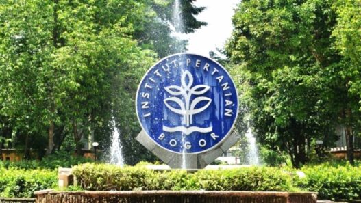 Ipb university