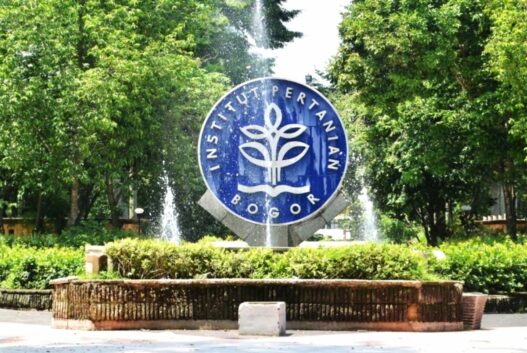 Ipb university