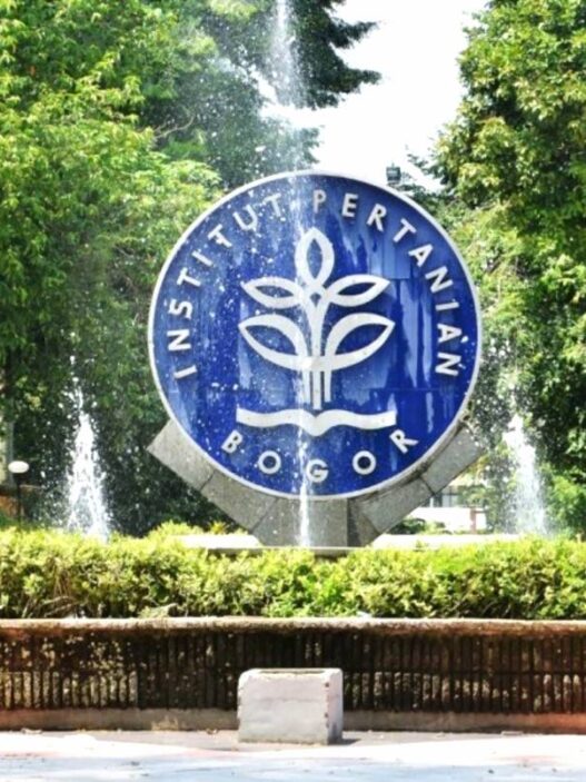 Ipb university