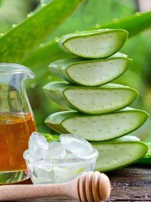 Jus lidah buaya