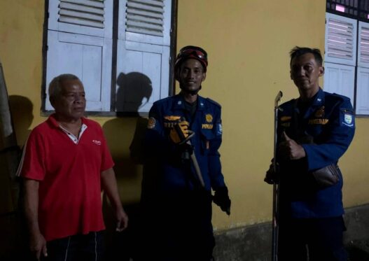 Kobra Masuk Permukiman, Damkar Turun Tangan