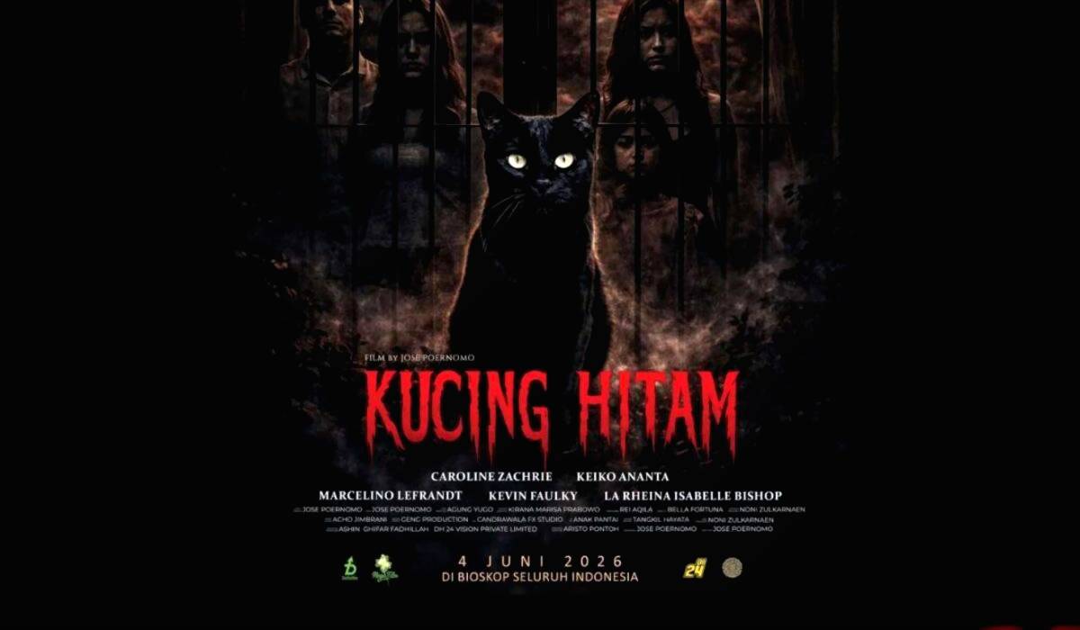 Kucing Hitam