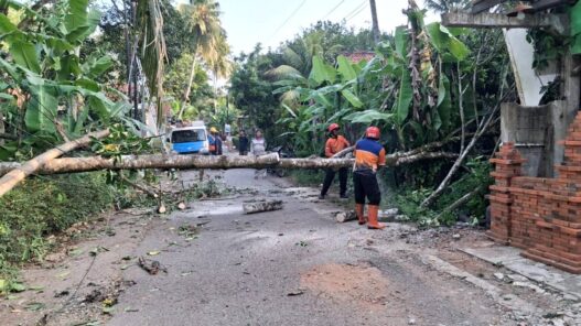 Lansia Selamat dari Bencana Angin Kencang