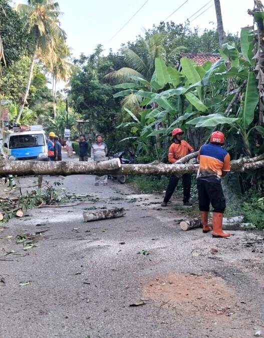 Lansia Selamat dari Bencana Angin Kencang