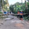 Lansia Selamat dari Bencana Angin Kencang