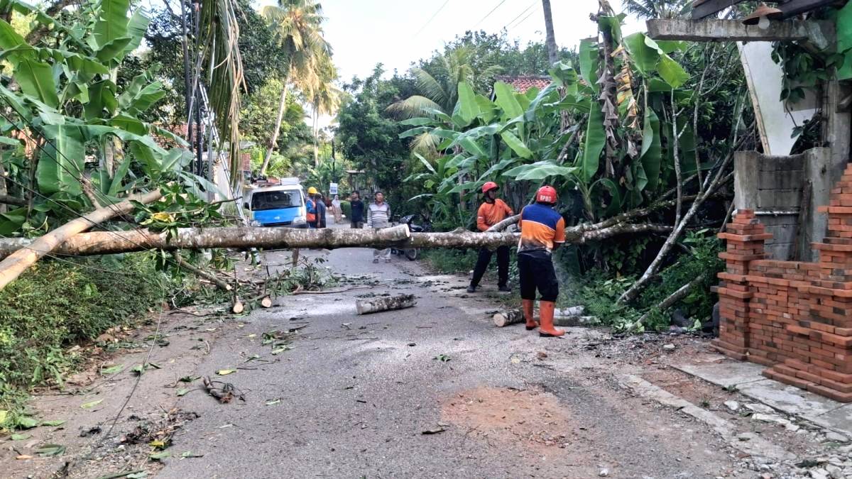 Lansia Selamat dari Bencana Angin Kencang