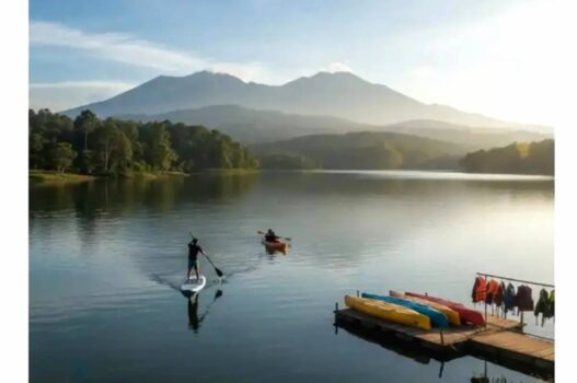 Paddle board