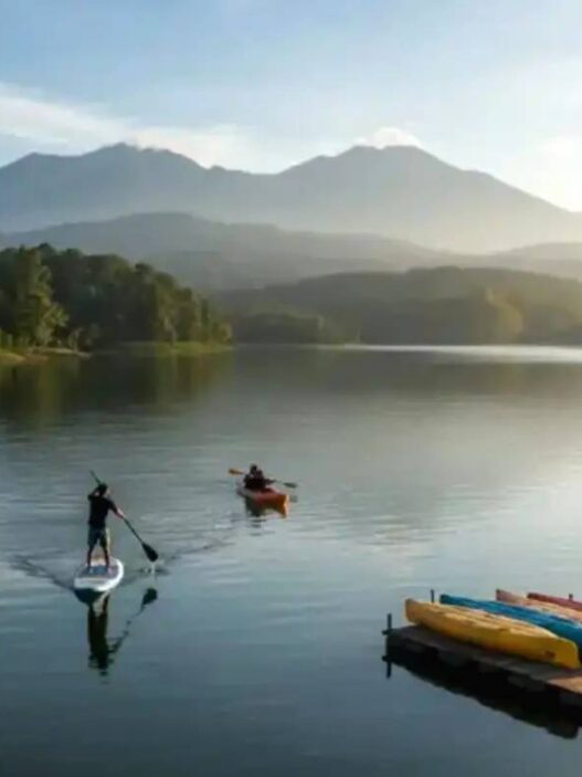 Paddle board